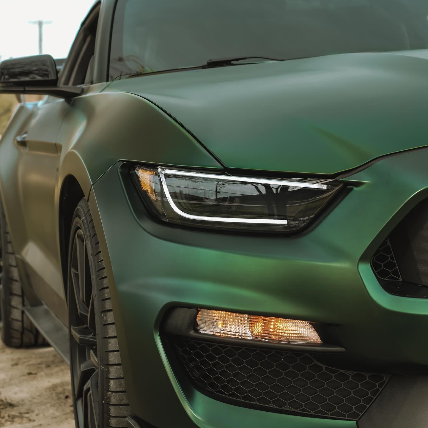 Ford Shelby GT500|Satin Chrome Paolo Veronese Green Vinyl Wrap|Eowrap