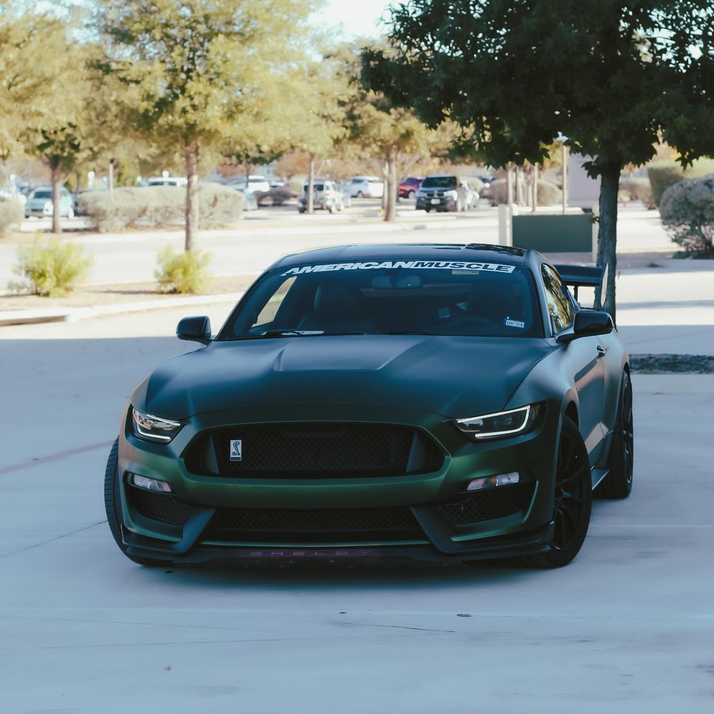 Ford Mustang|Satin Chrome Paolo Veronese Green Vinyl Wrap|Eowrap 