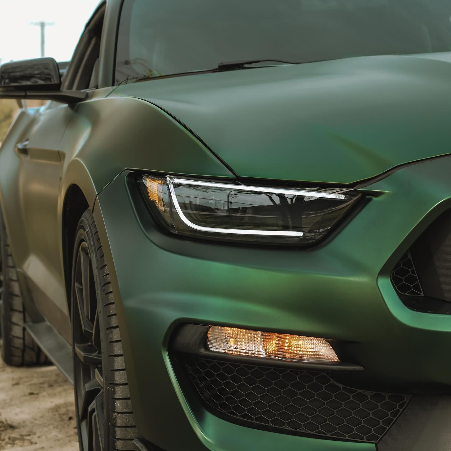 Ford Shelby GT500|Satin Chrome Paolo Veronese Green Vinyl Wrap|Eowrap 