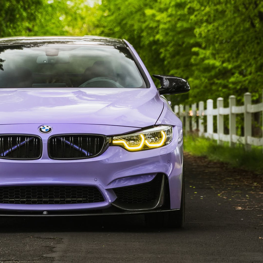 Gloss Lavender PPF