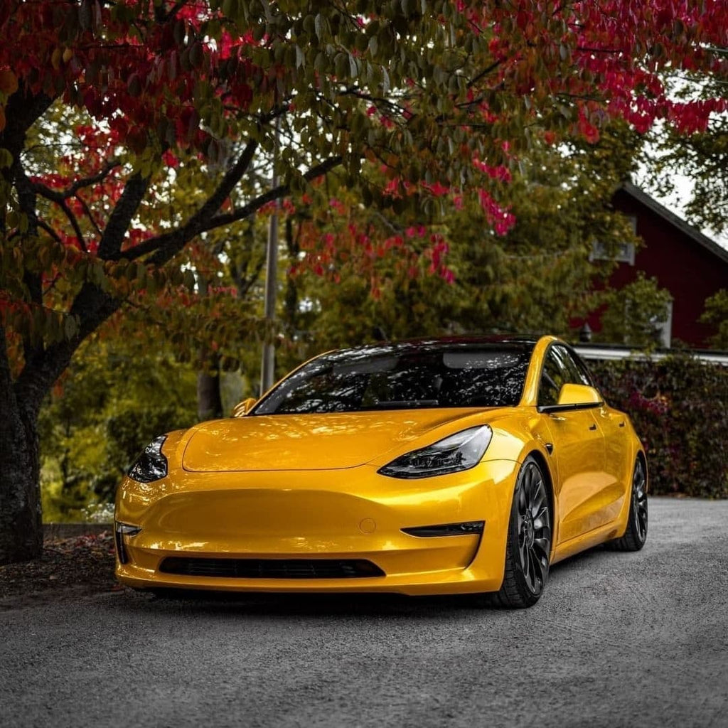 Liquid Metallic Bee Yellow PPF