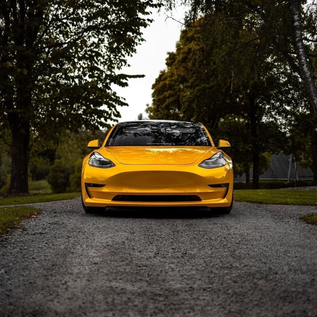 Liquid Metallic Bee Yellow PPF