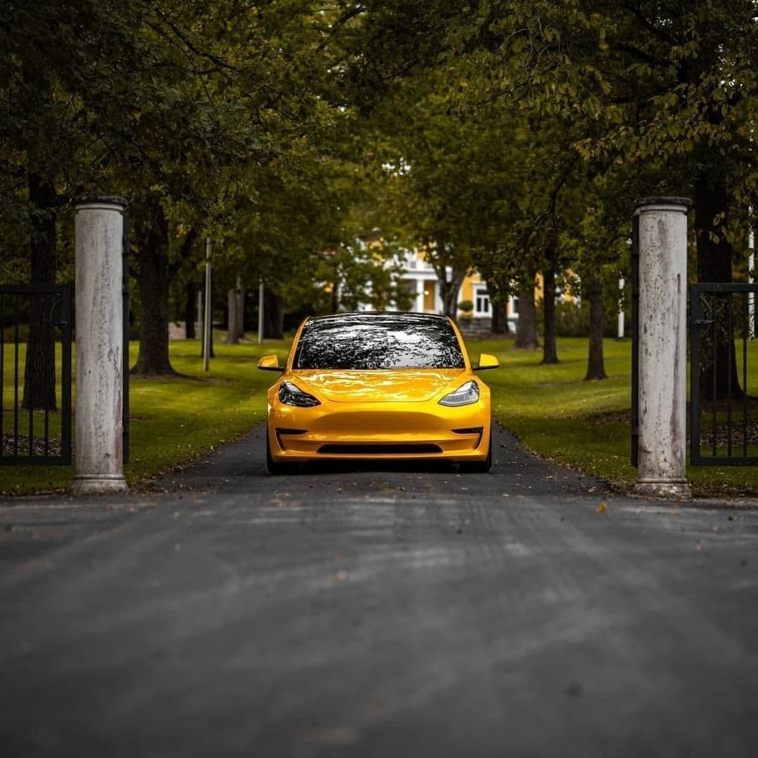 Liquid Metallic Bee Yellow PPF