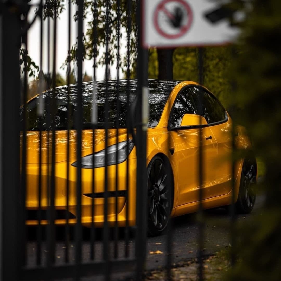Liquid Metallic Bee Yellow PPF