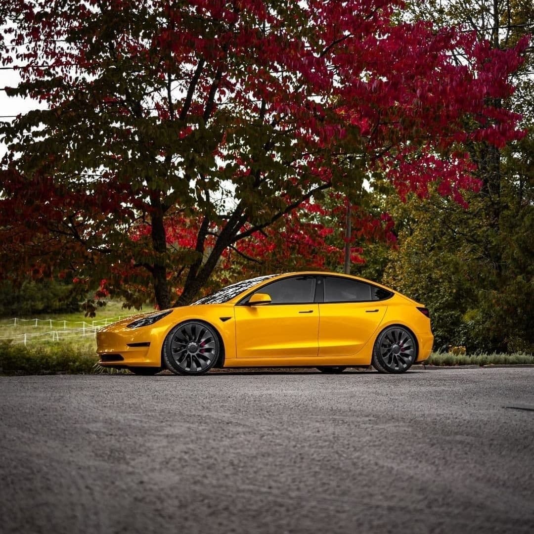 Liquid Metallic Bee Yellow PPF