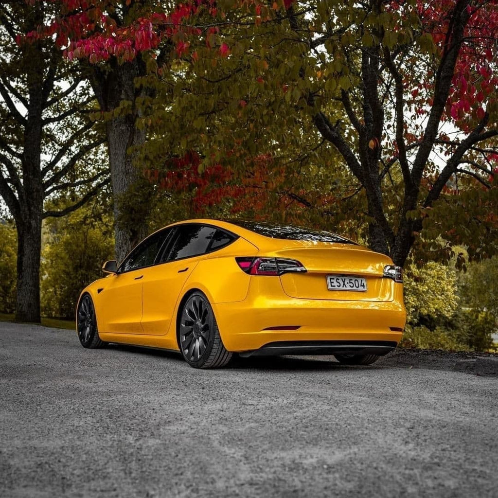 Liquid Metallic Bee Yellow PPF