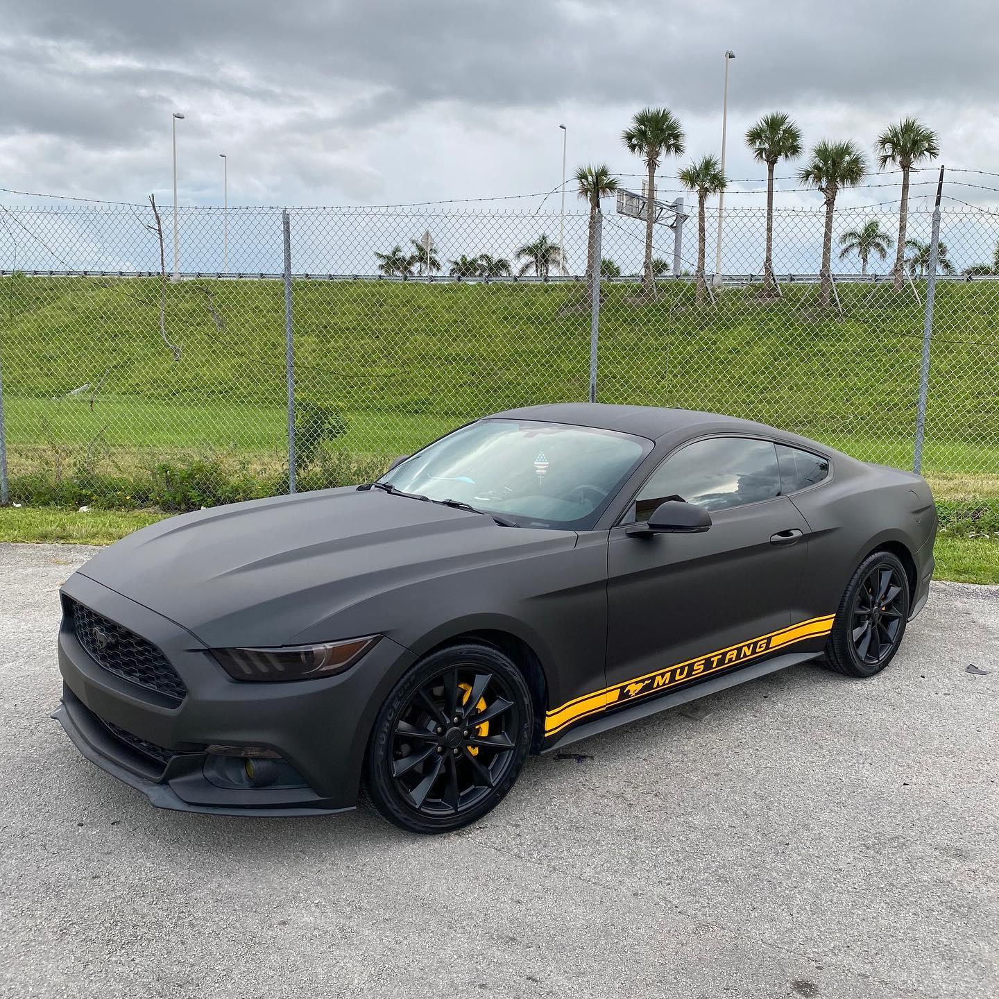 Mustang|Matte Black Vinyl Wrap|Eowrap