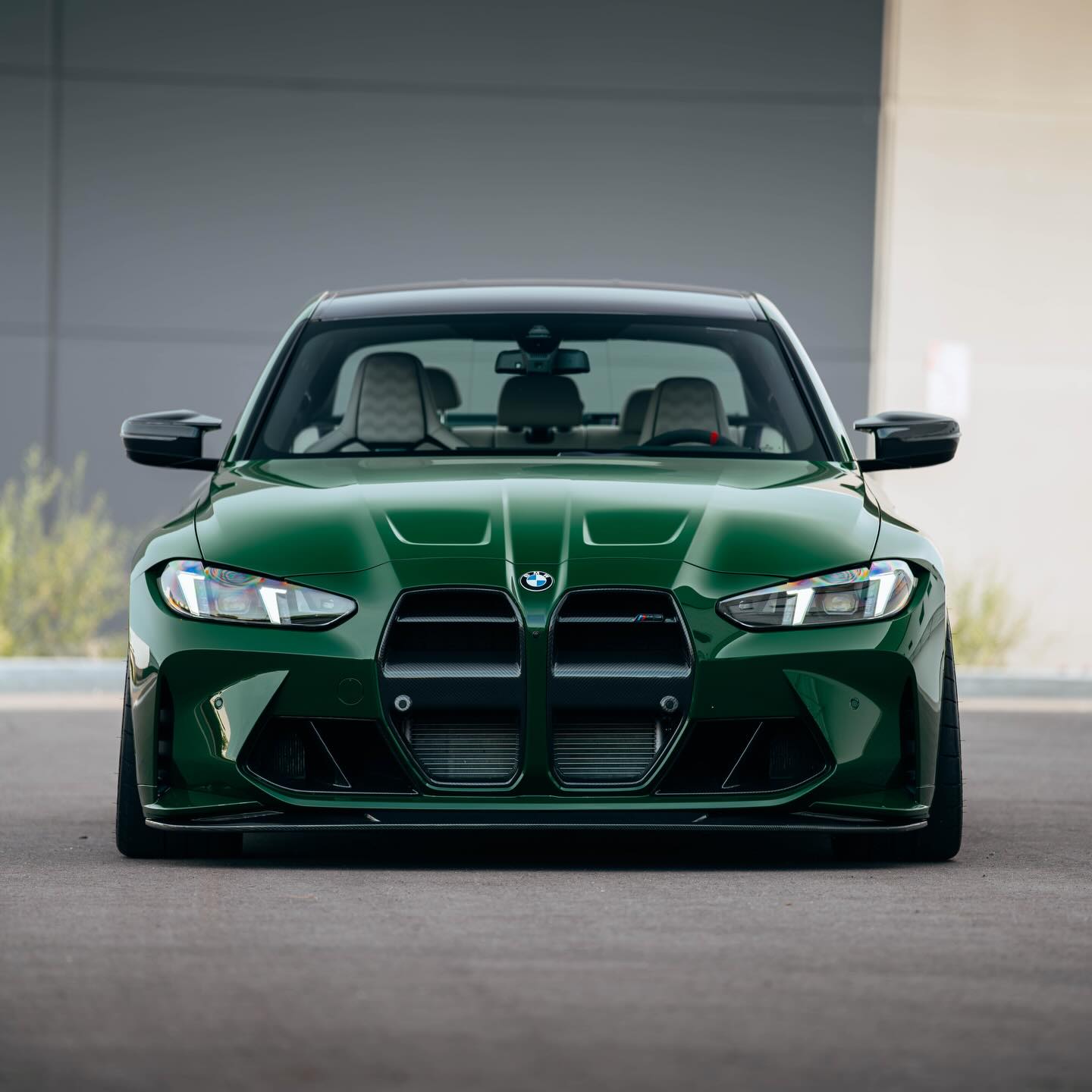 Gloss Racing Green PPF