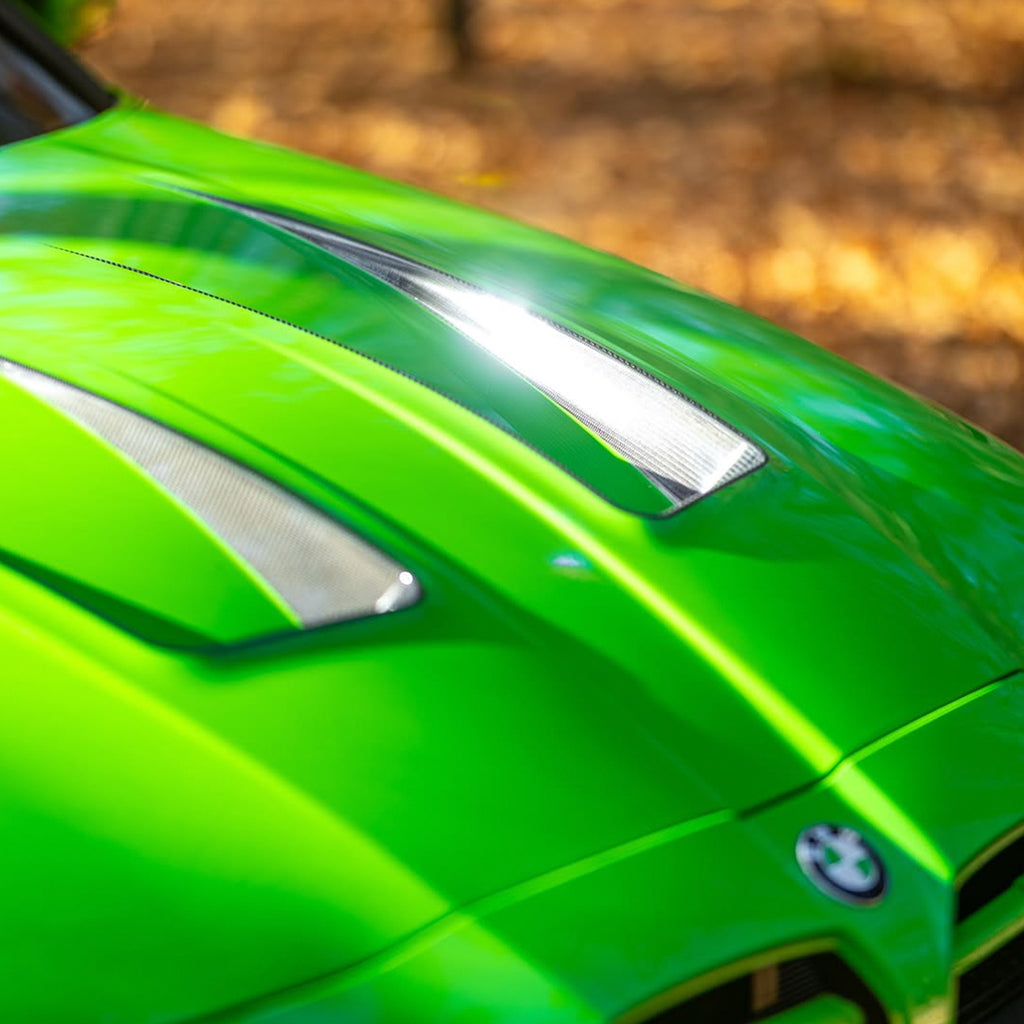 Gloss Lizard Green PPF