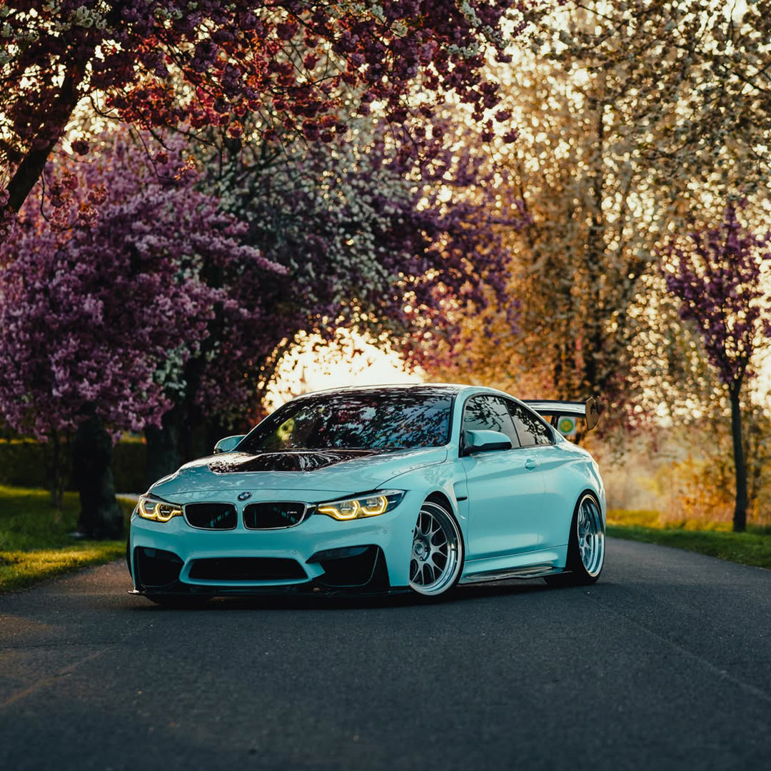 Gloss Crystal Light Blue PPF