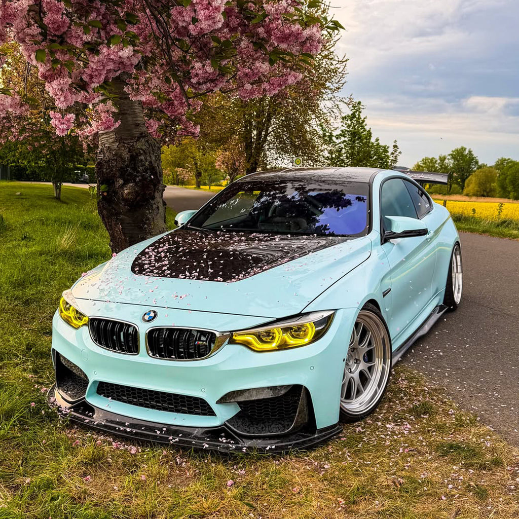Gloss Crystal Light Blue PPF