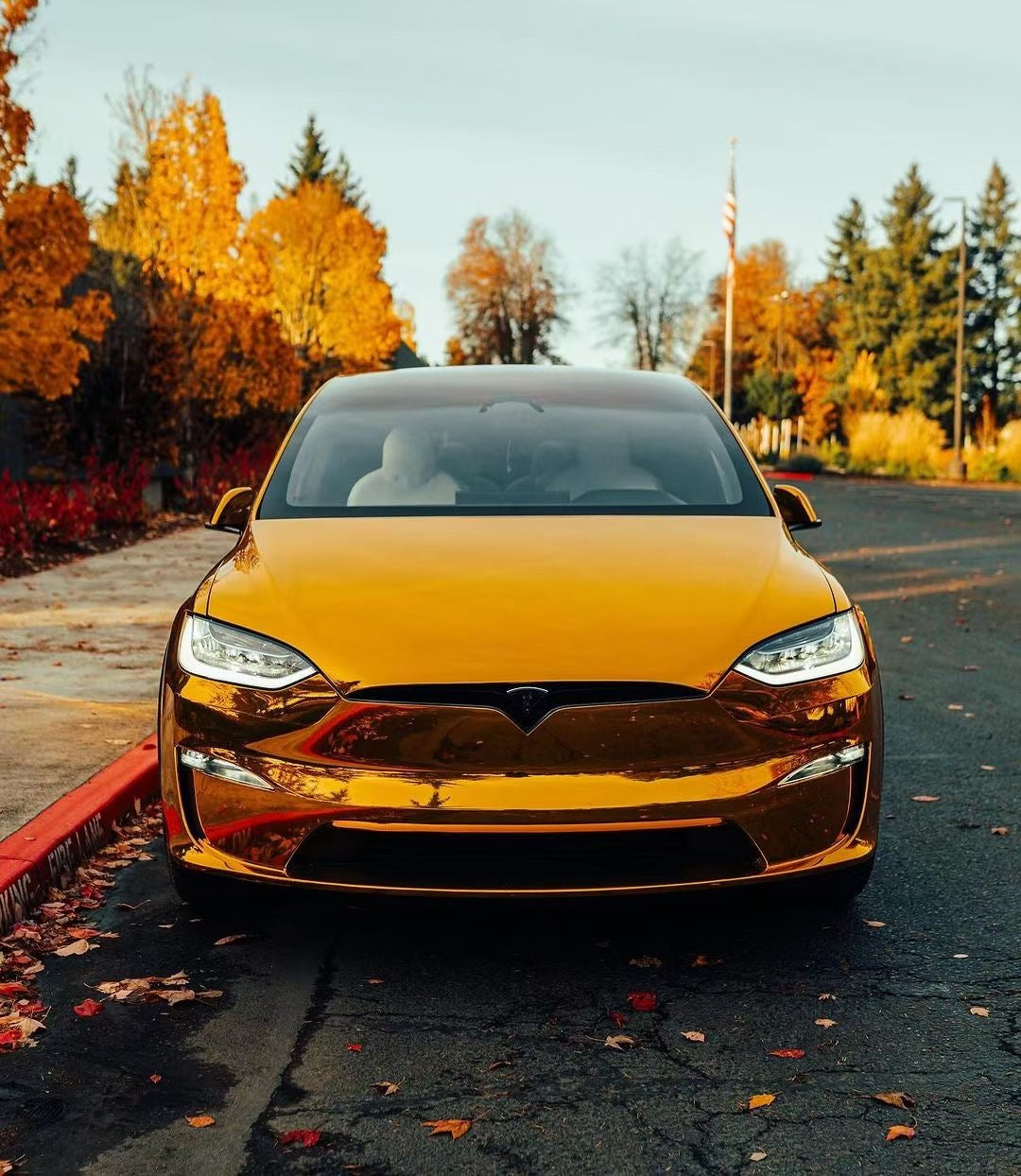 Tesla|Mirror Chrome Gold Vinyl Wrap|Eowrap